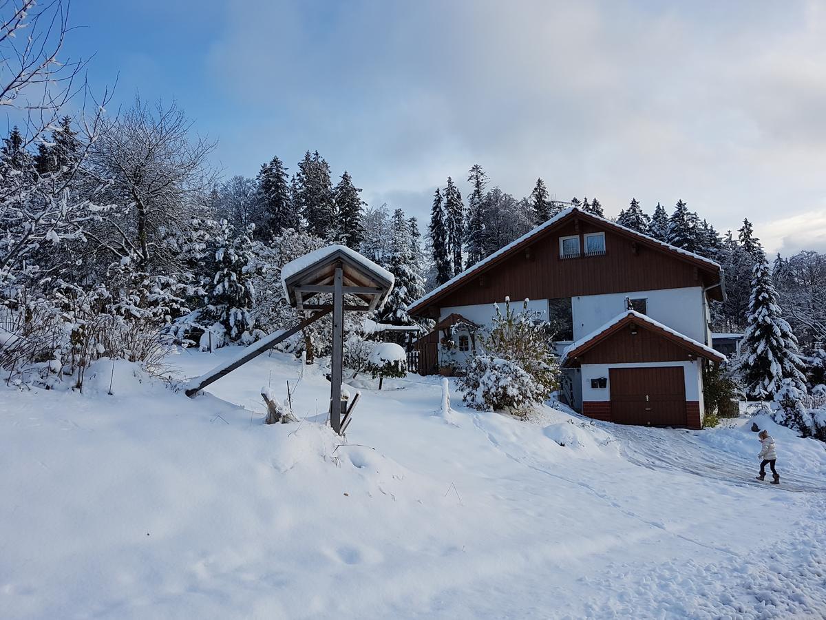 Ferienwohnung Dersch Mauth Bagian luar foto